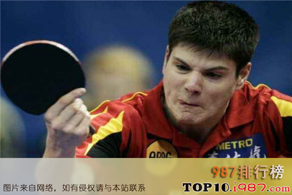 十大世界乒乓球运动员之斯瓦德内尔