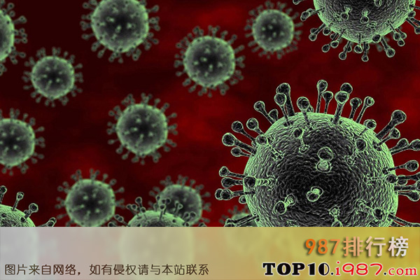 十大世界破坏力最强的病毒之甲型流感病毒