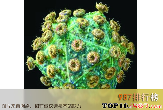 世界破坏力最强的十大病毒之肝炎病毒
