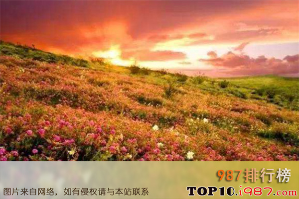 十大世界最美花海之保加利亚玫瑰谷
