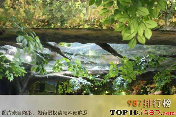 十大太原最好玩的景点之杏花岭动物园