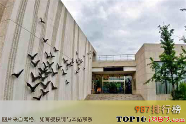 十大秦皇岛北戴河最好玩的景点之秦皇岛鸟类博物馆
