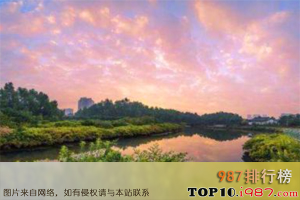 十大惠州最好玩的景点之大亚湾红树林城市湿地公园