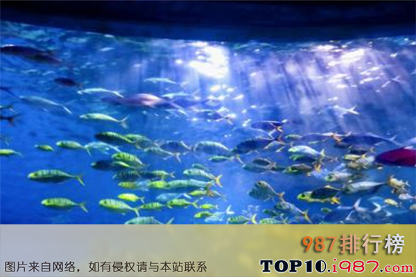 十大武汉最好玩的景点之武汉海昌极地海洋世界