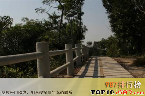 十大广东廉江最好玩的景点之塘山岭生态公园