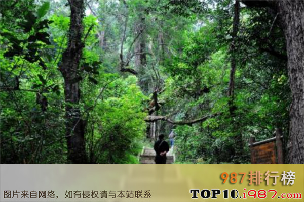 十大广东廉江最好玩的景点之龙湖古州