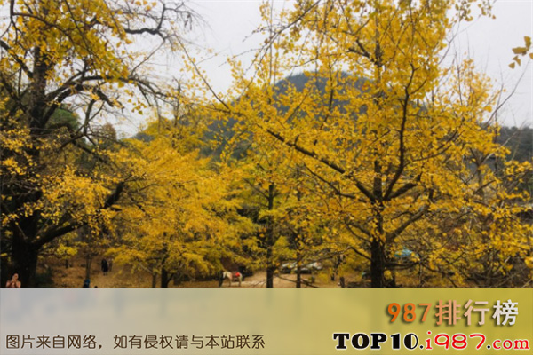 十大桂林最值得去的景点之九马画山