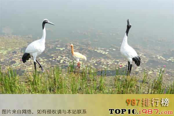 十大广东鹤山最好玩的景点之仙鹤湖