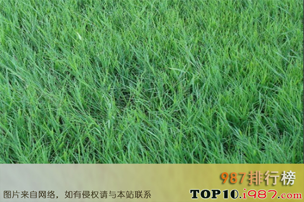 十大公务员考试冷门专业之农艺教育类