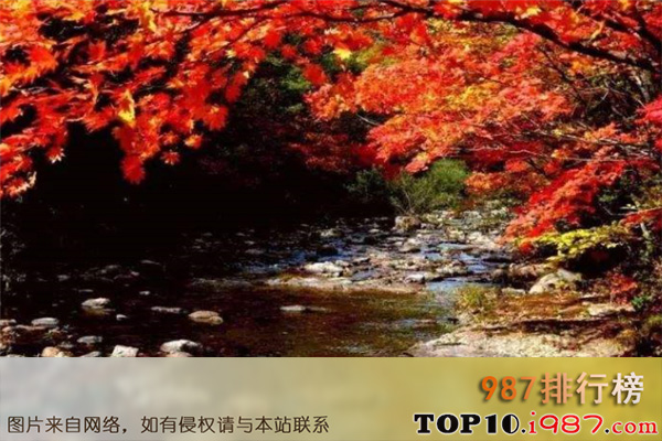 十大丹东风景名胜之蒲石河森林公园