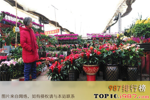 十大赤峰购物胜地之红山花卉市场