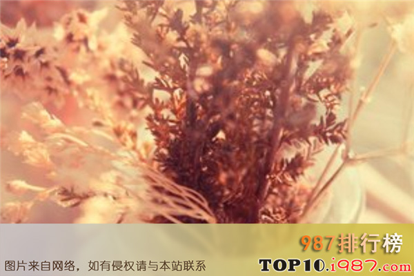 垃圾老公特征之最
