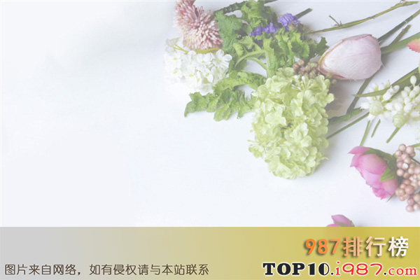 十大垃圾老公特征之爱逛夜店