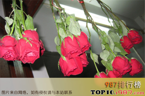 十大垃圾老公特征之背叛妻子