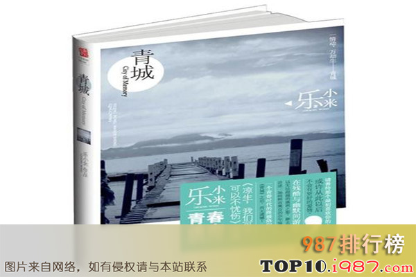 十大起点中文网高干小说之《小米》