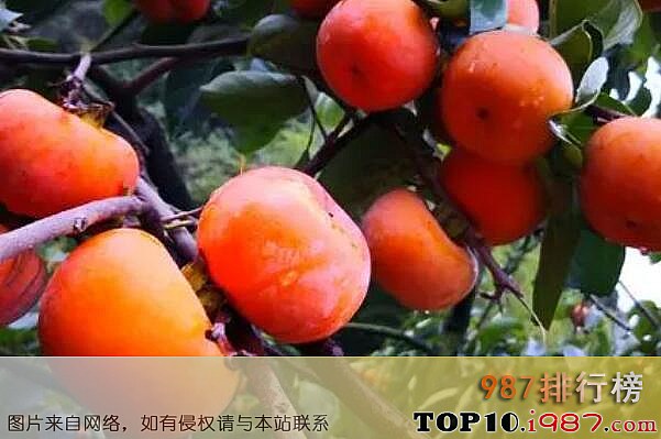 十大桂林特产之恭城月柿