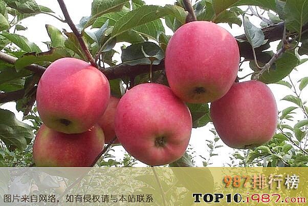 十大苹果产区之甘肃庆阳