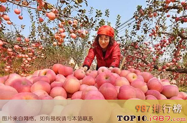 十大苹果产区之山东淄博