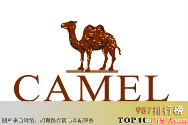 凉鞋十大品牌排行榜（2021年）之骆驼