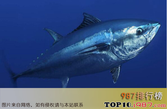 十大世界零售超市名贵海鲜之蓝鳍金枪鱼