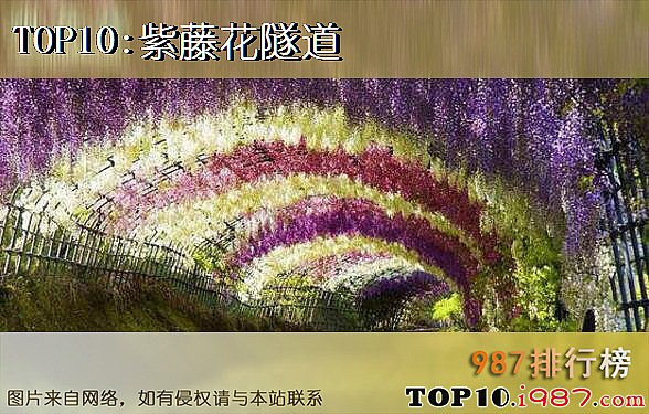 十大世界上最美的风景之紫藤花隧道