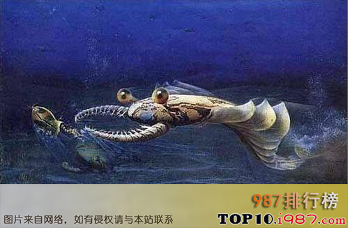 十大史前恐怖生物之奇虾 - 地球上的第一批霸主