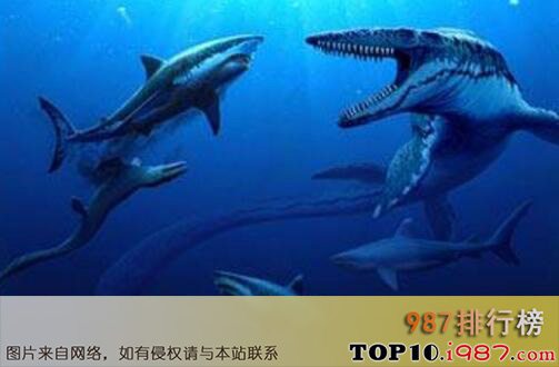 十大史前恐怖生物之白垩刺甲鲨 - 顶级海洋掠食动物