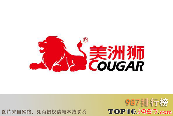 十大滑板头盔护具品牌之美洲狮cougar