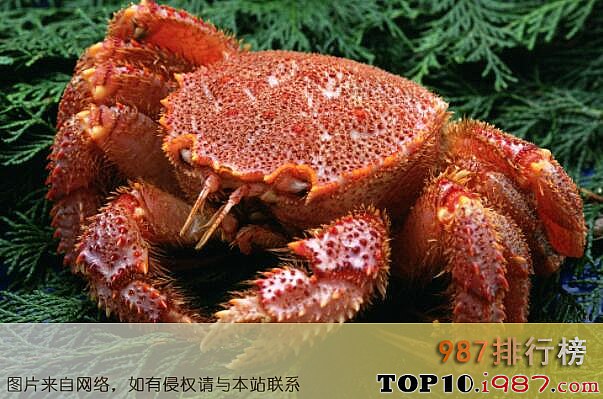 十大螃蟹品种之红毛蟹