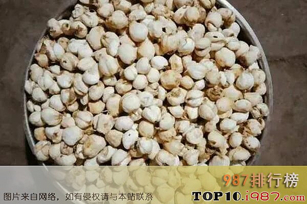 十大最值钱的药材之伊贝母