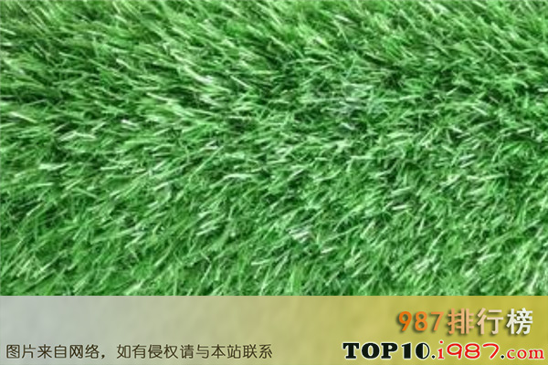 十大名牌人造草坪厂家之北京美意联合科技发展有限公司