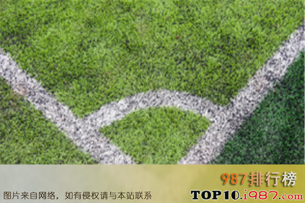 十大名牌人造草坪厂家之广州爱奇实业有限公司