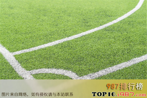 十大名牌人造草坪厂家之利蒙塔运动(惠州)有限公司