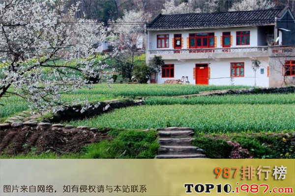 十大广东乡村之灵潭村