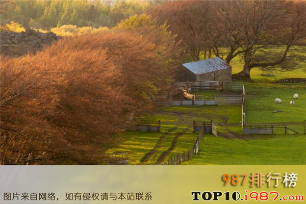 十大广东乡村之九岭村