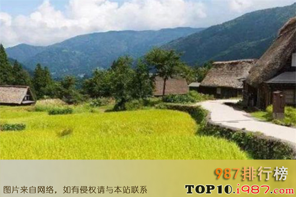 十大广东乡村之紫南村
