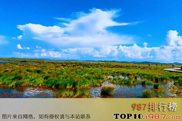 十大最美湿地之若尔盖湿地