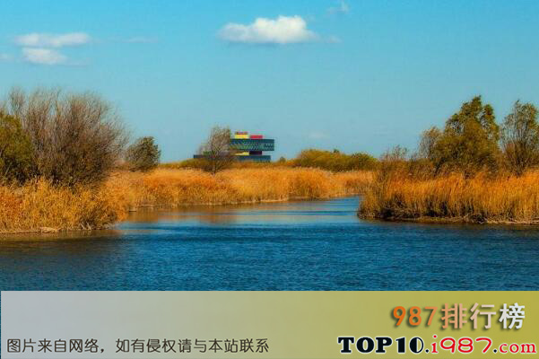 十大最美湿地之黄河三角洲湿地