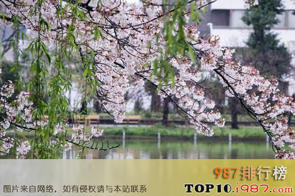 十大日本不可错过的赏樱名所之上野恩赐公园