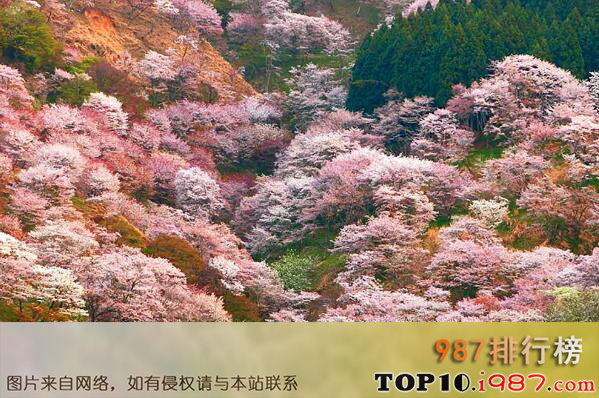 十大日本不可错过的赏樱名所之奈良吉野山