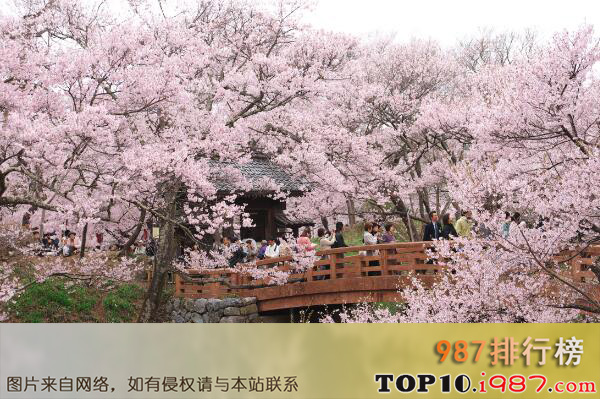 十大日本不可错过的赏樱名所之长野高远城址公园