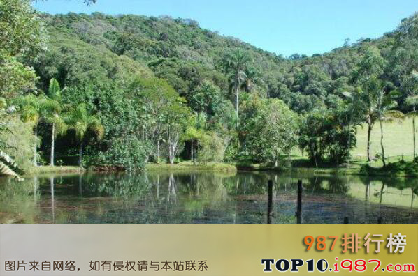 十大世界上最美的热带雨林之昆士兰热带雨林