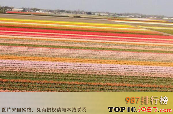 十大最“色”的美景地之织毯花田