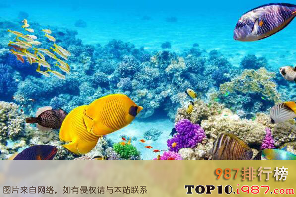 十大最“色”的美景地之大堡礁