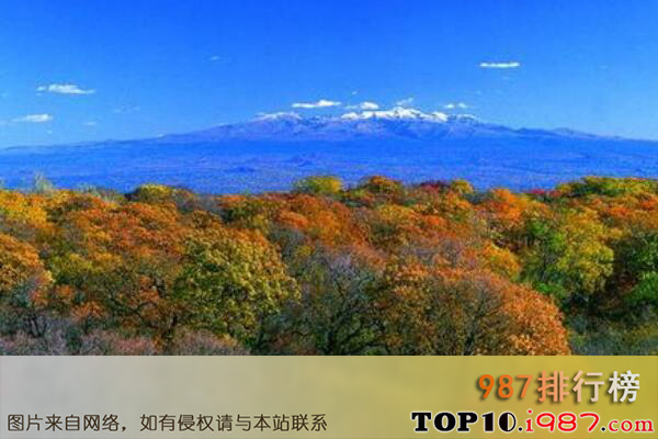 十大世界最美自然保护区之缅北胡康谷地自然保护区