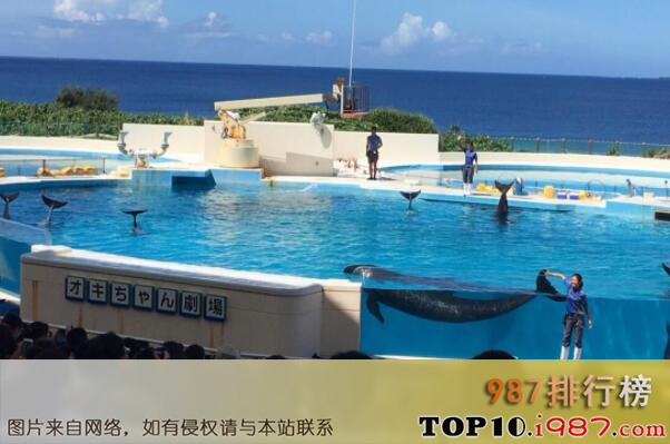 十大海洋馆之冲绳美丽海水族馆