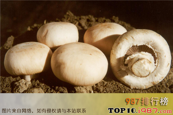 十大碱性食物之蘑菇