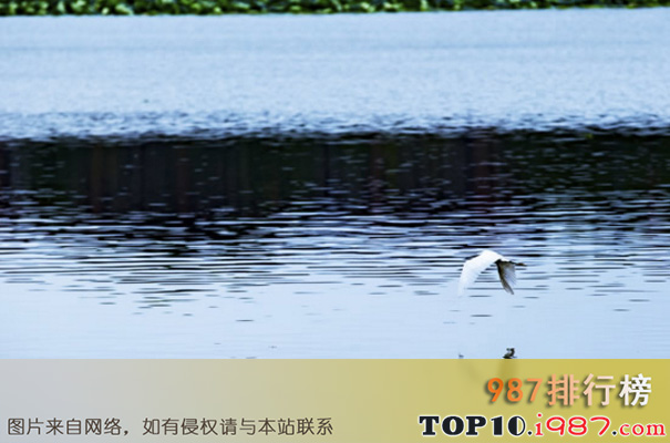 十大武汉著名旅游景点之东湖风景区
