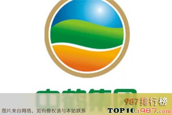 十大河南面业之河南中鹤现代农业开发集团有限公司