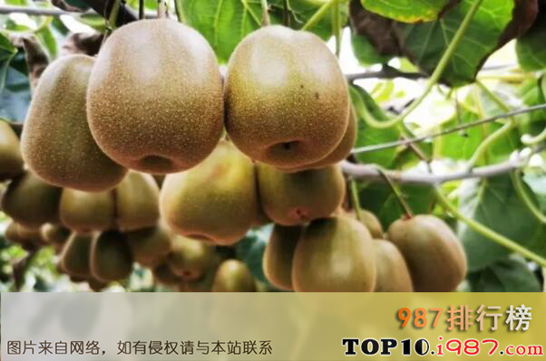 十大维C含量最高的水果之猕猴桃